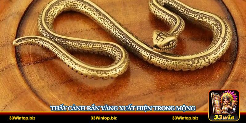 Nằm mơ thấy rắn và là điềm báo may mắn tượng trưng cho tiền tài thịnh vượng